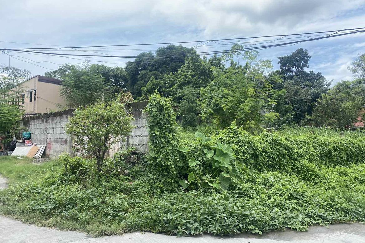 Land for Sale in Malabanias, Angeles, Pampanga – photo 2