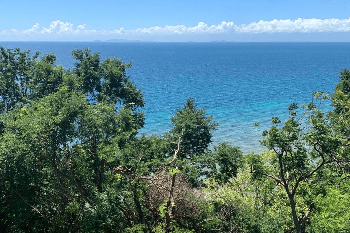 Land for Sale in Malabrigo, Lobo, Batangas – photo 5