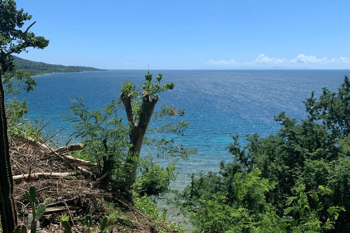 Land for Sale in Malabrigo, Lobo, Batangas – photo 6