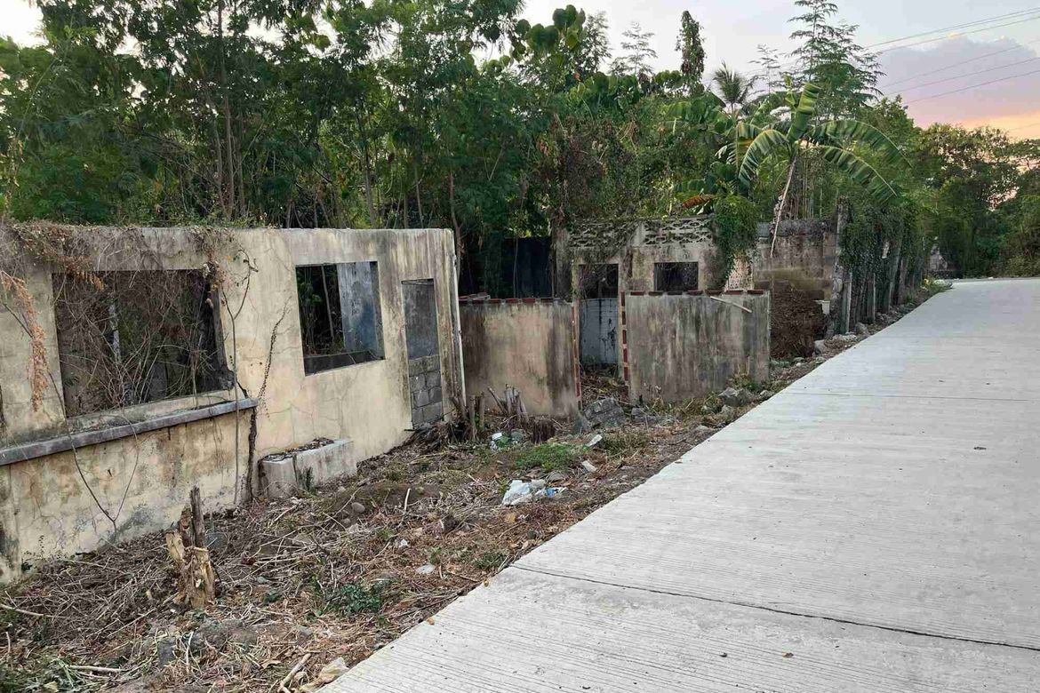 Land for Sale in Malacampa, Camiling, Tarlac – photo 2