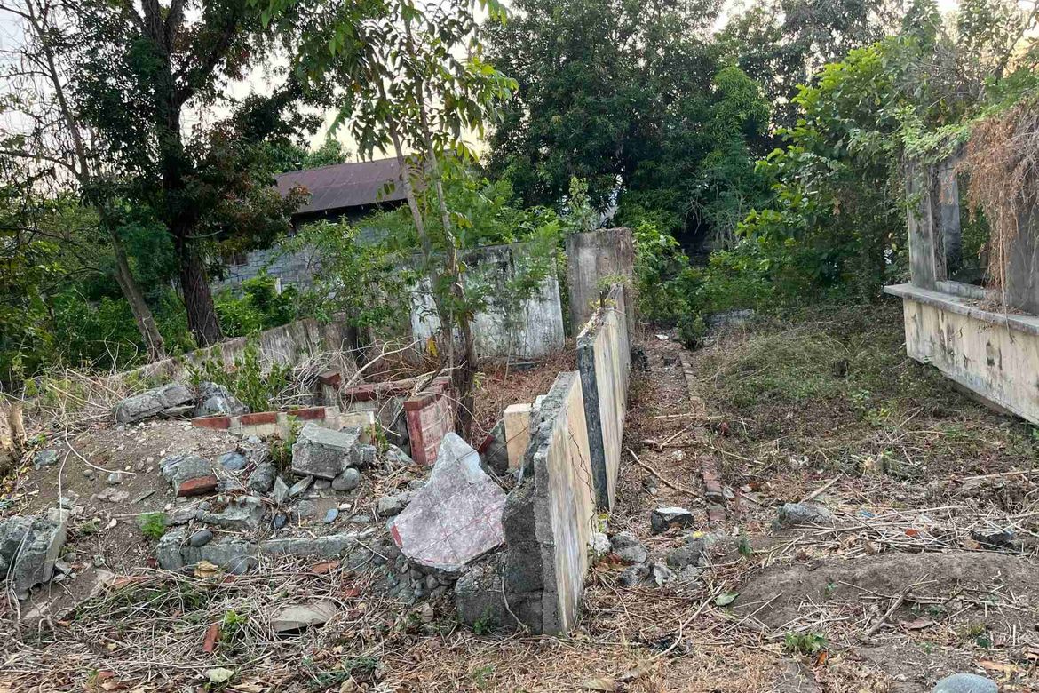 Land for Sale in Malacampa, Camiling, Tarlac – photo 3