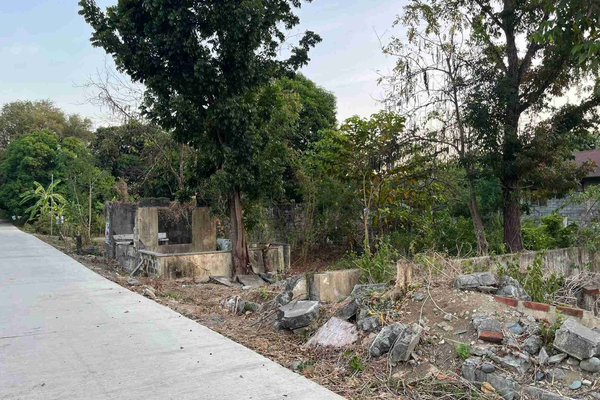Land for Sale in Malacampa, Camiling, Tarlac – photo 4