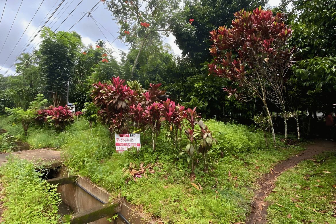 Land for Sale in Malagos, Davao City, Davao del Sur – photo 2