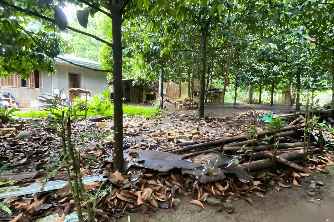 Land for Sale in Malagos, Davao City, Davao del Sur – photo 4