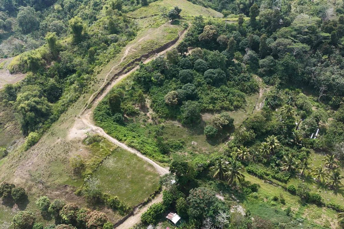Land for Sale in Malagos, Davao City, Davao del Sur