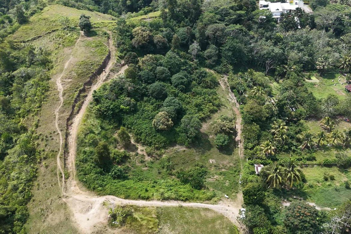 Land for Sale in Malagos, Davao City, Davao del Sur – photo 2