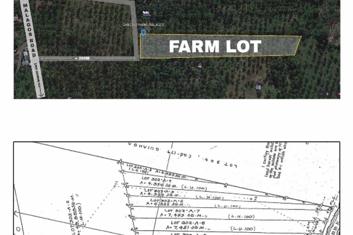 Land for Sale in Malagos, Davao City, Davao del Sur – photo 4