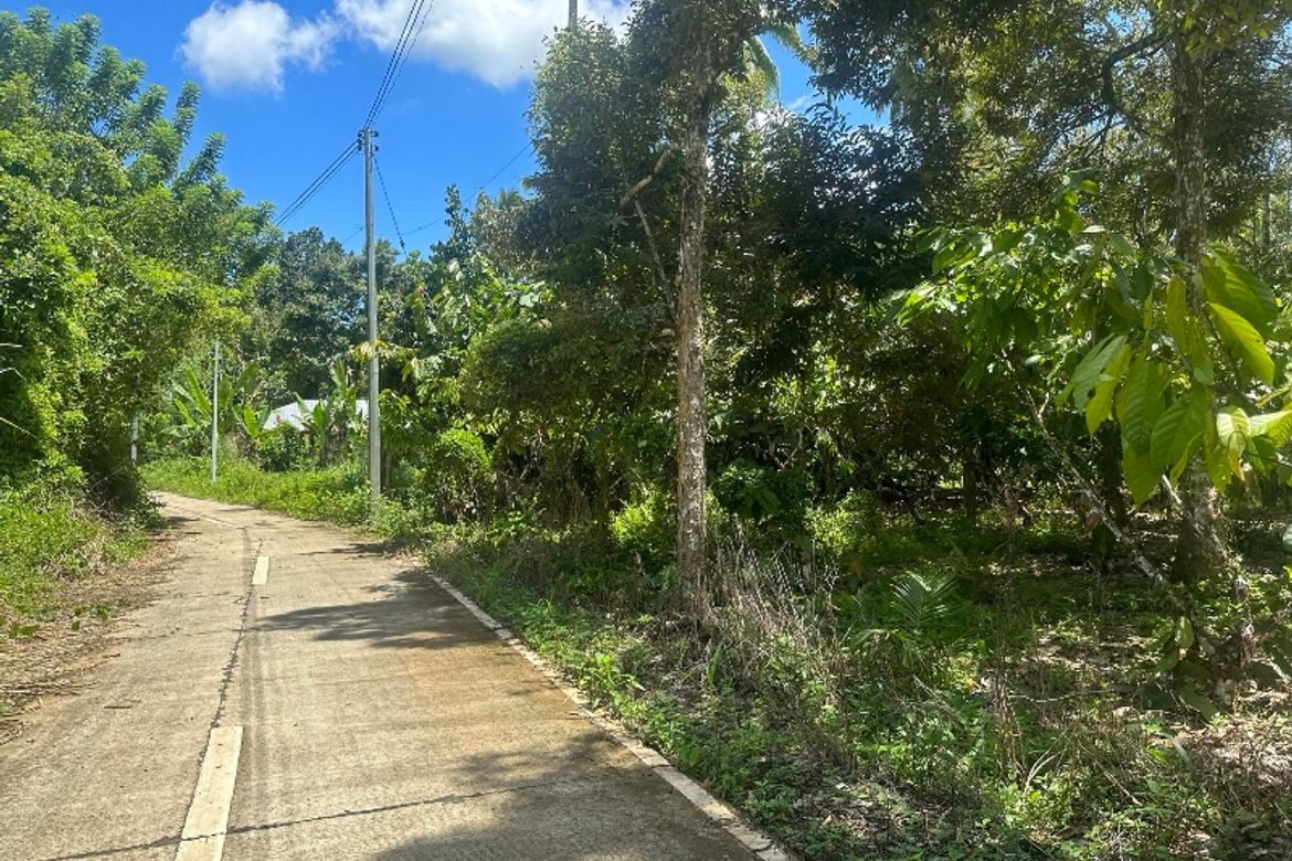 Land for Sale in Malagos, Davao City, Davao del Sur – photo 7