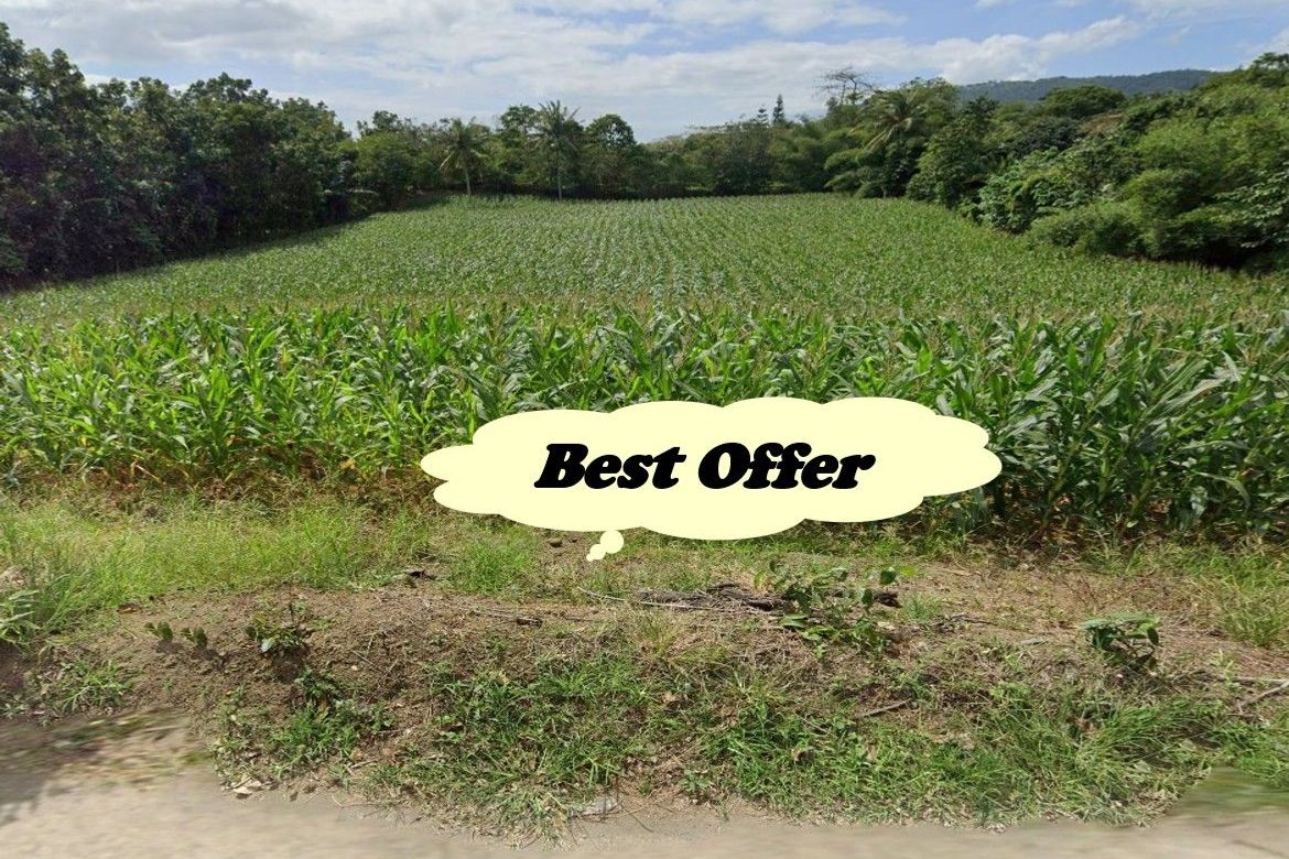 Land for Sale in Malaking Pulo, Tanauan, Batangas
