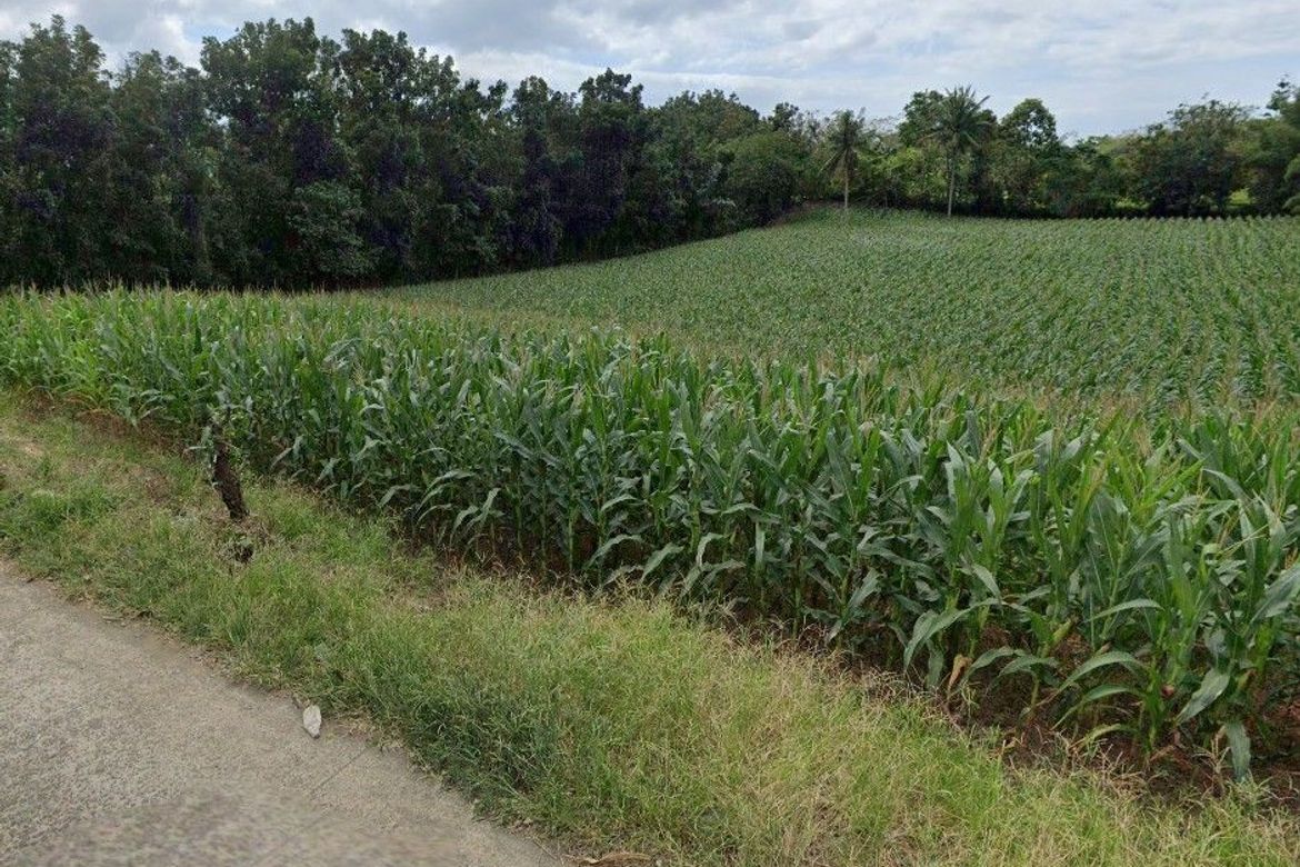 Land for Sale in Malaking Pulo, Tanauan, Batangas – photo 3