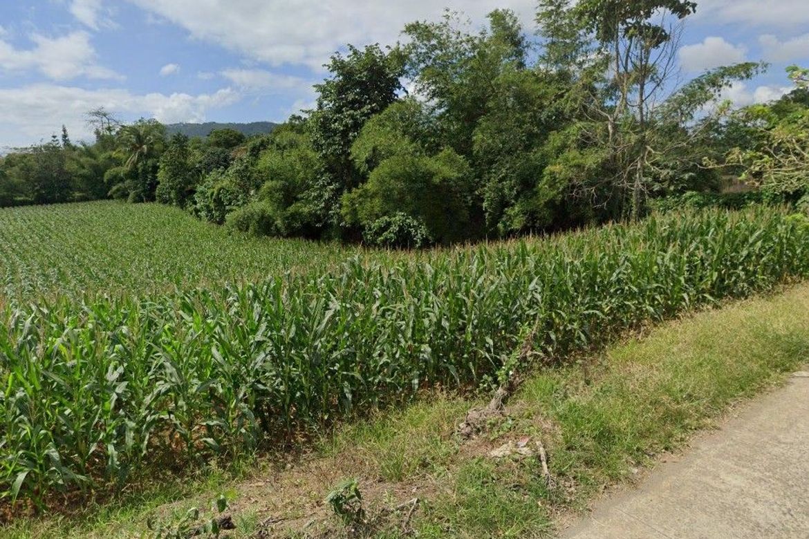 Land for Sale in Malaking Pulo, Tanauan, Batangas – photo 4
