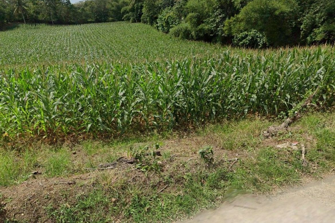 Land for Sale in Malaking Pulo, Tanauan, Batangas – photo 6