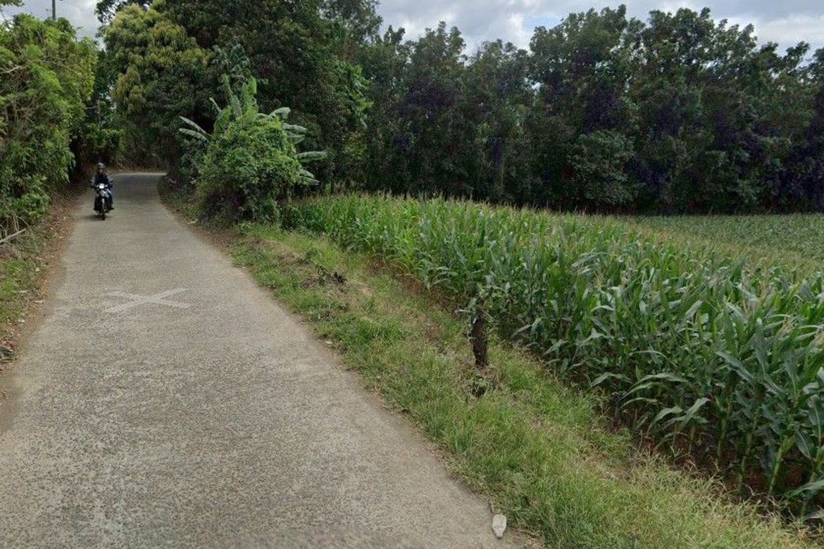 Land for Sale in Malaking Pulo, Tanauan, Batangas – photo 7