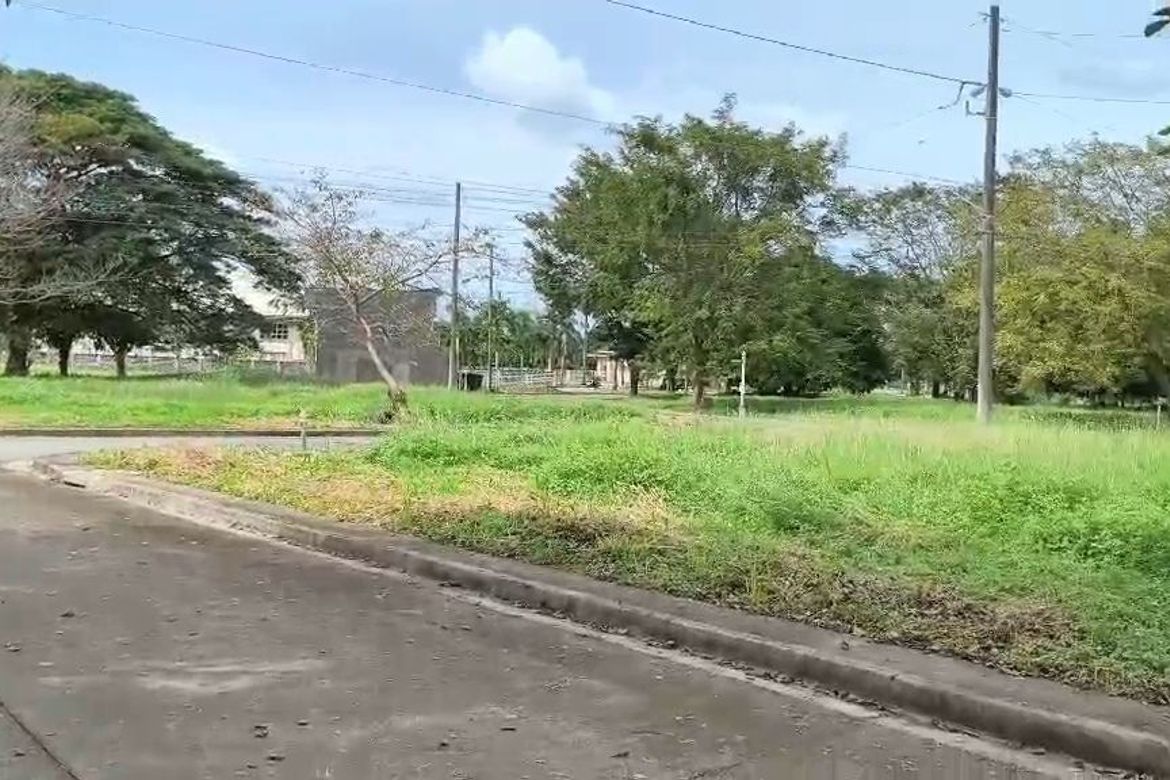 Land for Sale in Malamig, Biñan, Laguna – photo 6