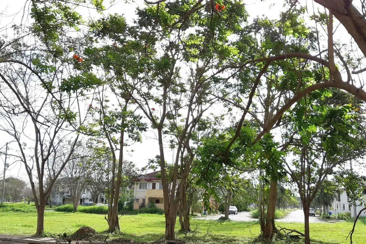 Land for Sale in Malamig, Biñan, Laguna – photo 7