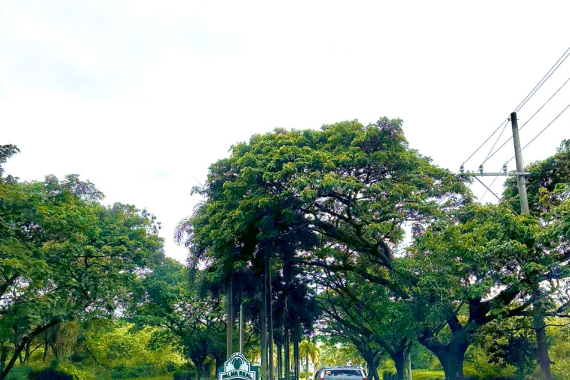 Land for Sale in Malamig, Biñan, Laguna – photo 3