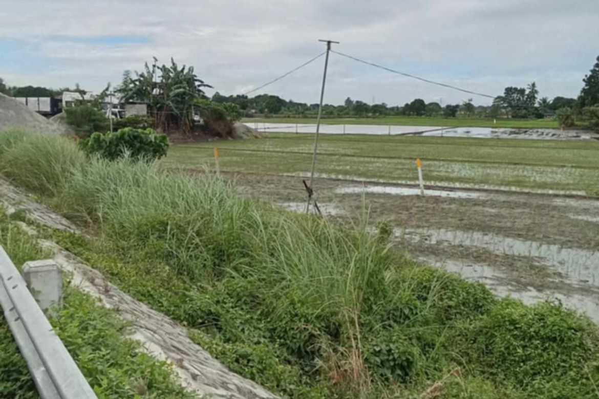 Land for Sale in Malamig, Bustos, Bulacan – photo 3