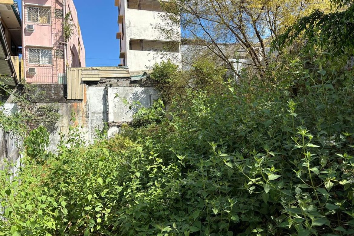 Land for Sale in Malamig, Mandaluyong, Metro Manila near MRT-3 Boni – photo 2