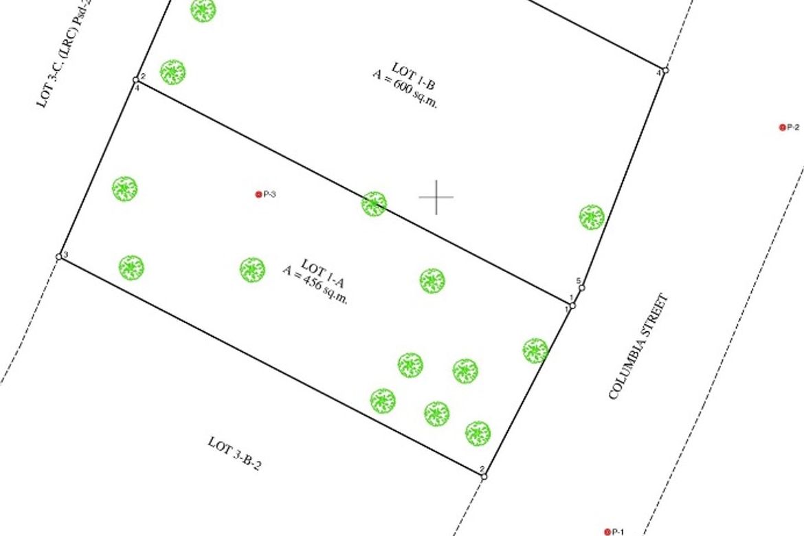 Land for Sale in Malanday, Marikina, Metro Manila – photo 4