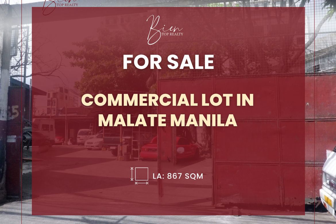 Land for Sale in Malate, Manila, Metro Manila near LRT-1 Vito Cruz