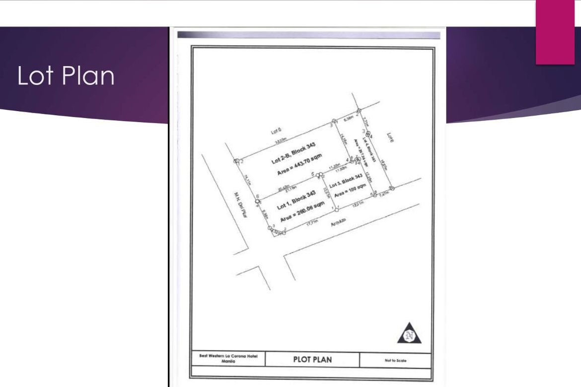 Land for Sale in Malate, Manila, Metro Manila near LRT-1 Vito Cruz