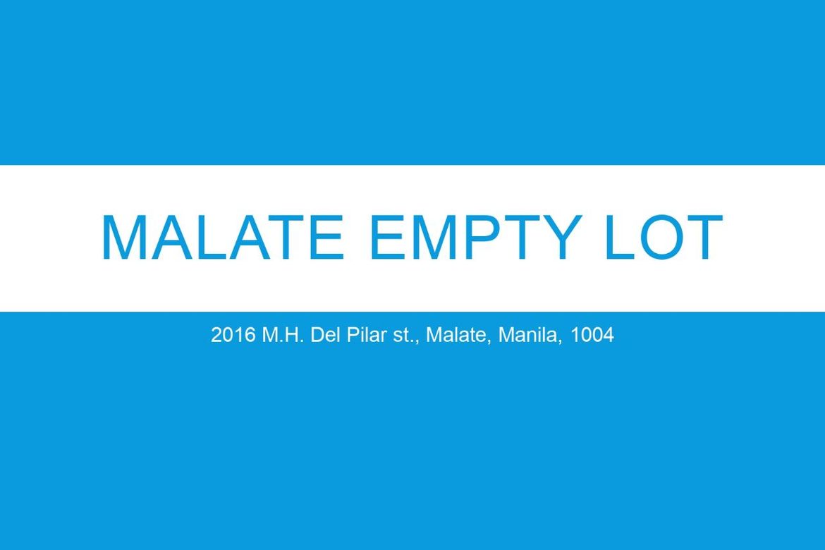 Land for Sale in Malate, Manila, Metro Manila near LRT-1 Vito Cruz – photo 3