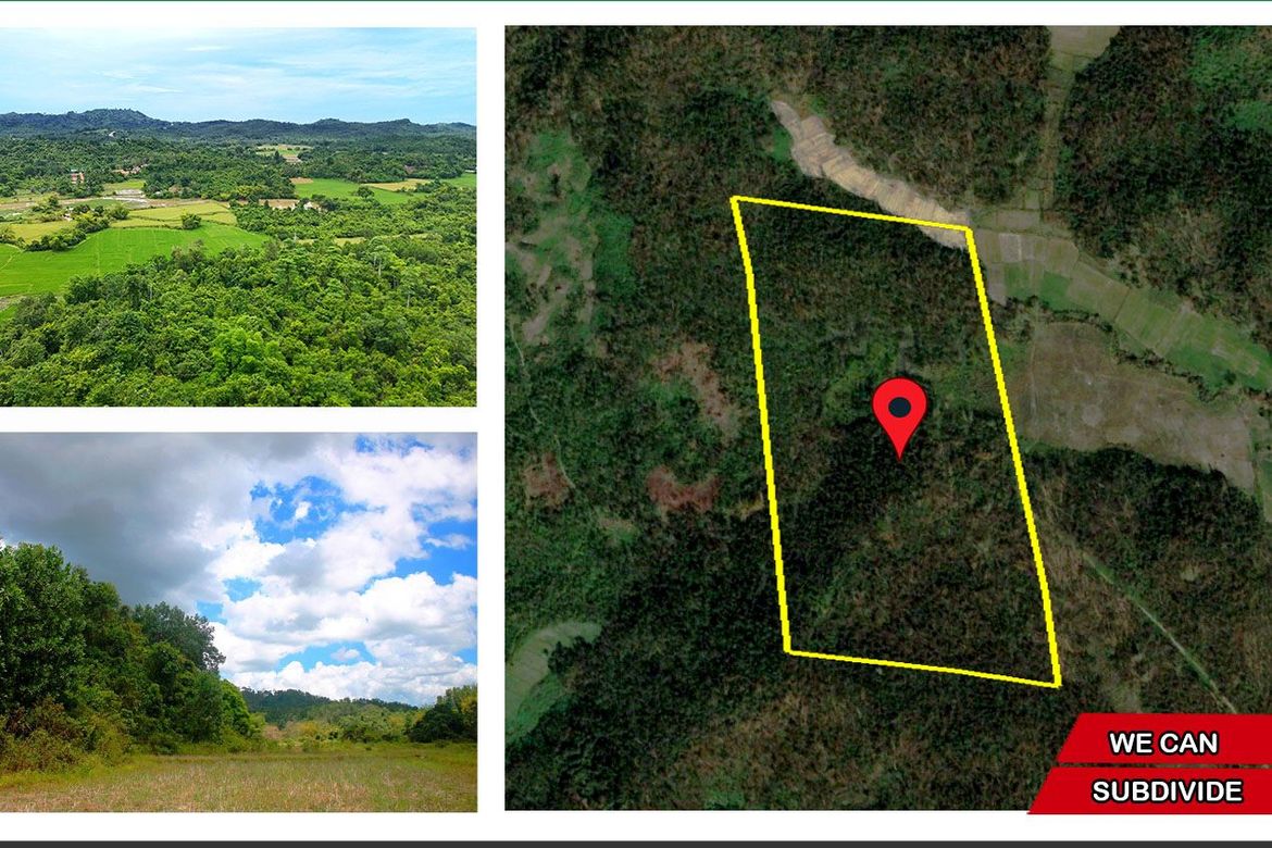 Land for Sale in Malcampo, Roxas, Palawan