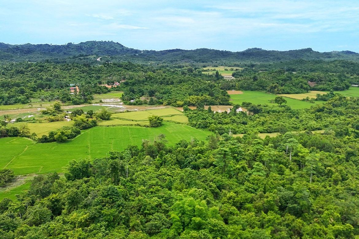 Land for Sale in Malcampo, Roxas, Palawan – photo 2