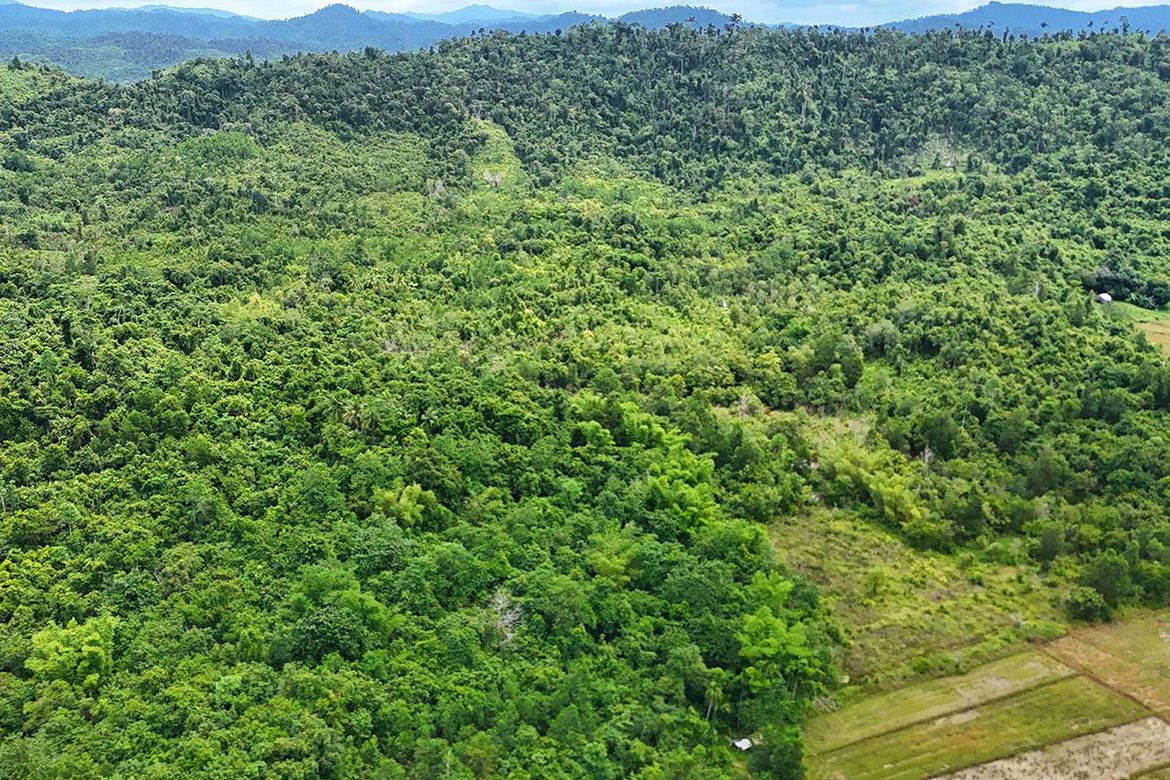 Land for Sale in Malcampo, Roxas, Palawan – photo 4