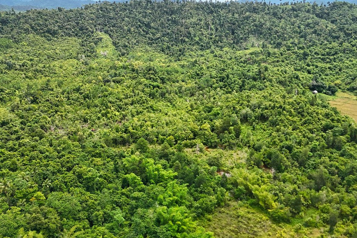 Land for Sale in Malcampo, Roxas, Palawan – photo 5