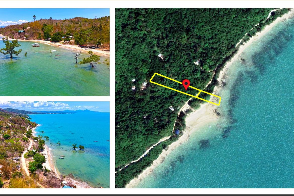 Land for Sale in Malcampo, Roxas, Palawan