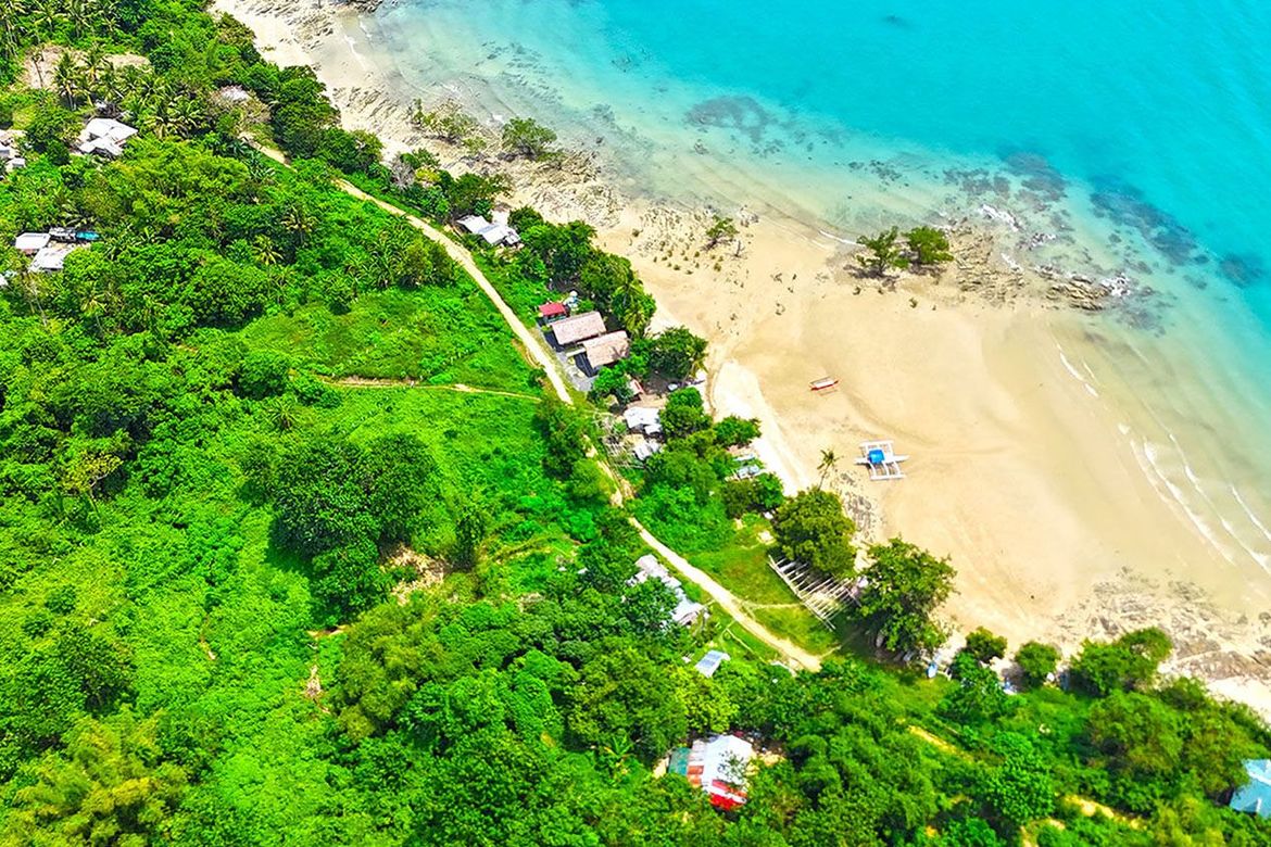 Land for Sale in Malcampo, Roxas, Palawan – photo 4