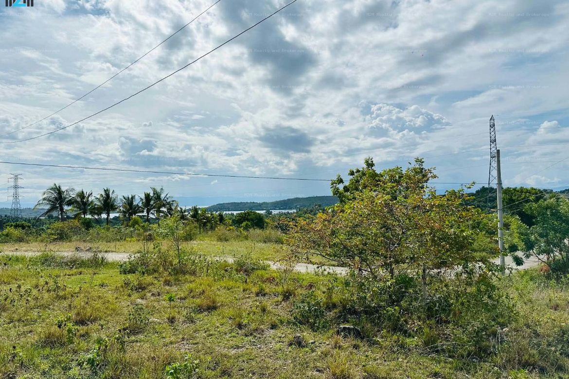Land for Sale in Malhiao, Badian, Cebu