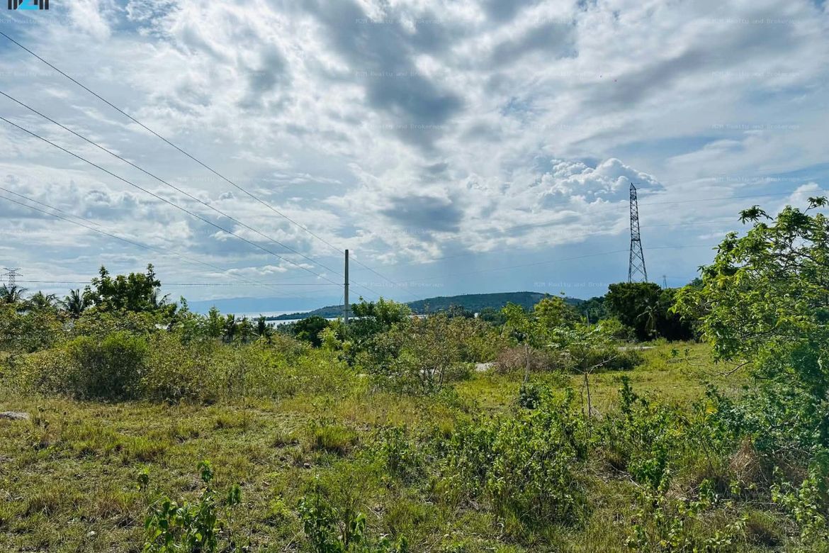 Land for Sale in Malhiao, Badian, Cebu – photo 2
