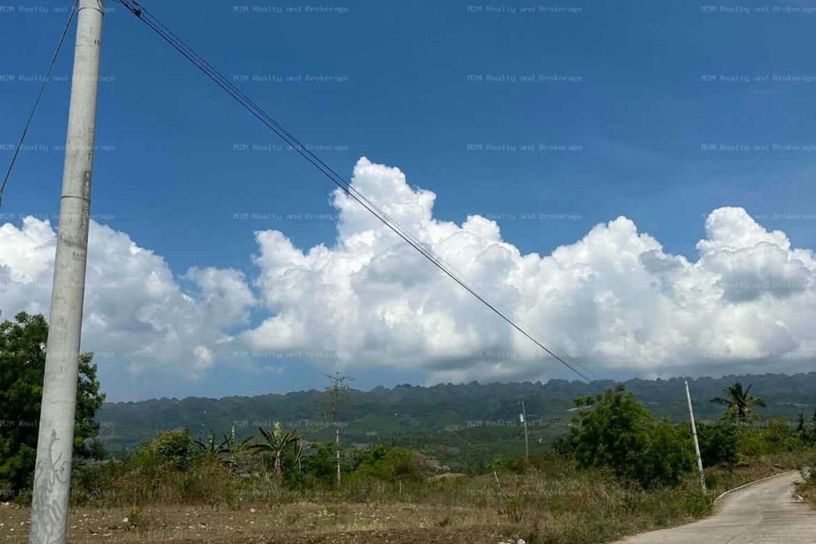 Land for Sale in Malhiao, Badian, Cebu – photo 4