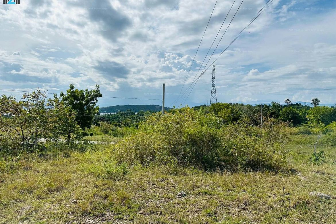 Land for Sale in Malhiao, Badian, Cebu – photo 5