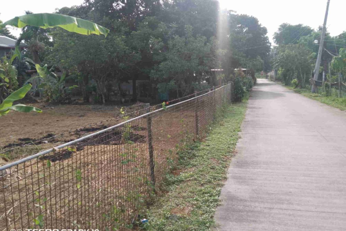 Land for Sale in Maligaya, Rosario, Batangas