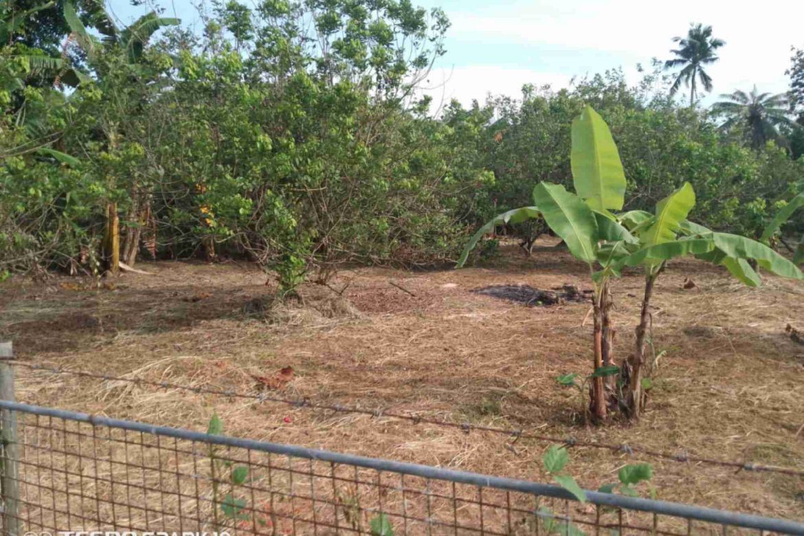 Land for Sale in Maligaya, Rosario, Batangas – photo 3