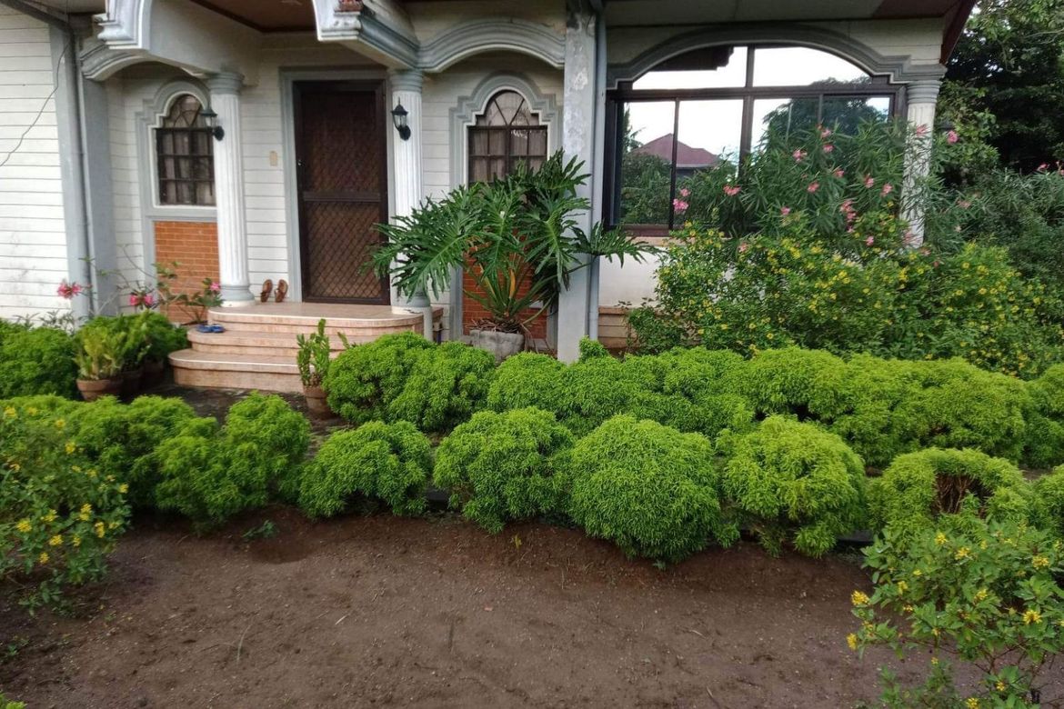 Land for Sale in Maligaya, Rosario, Batangas – photo 2