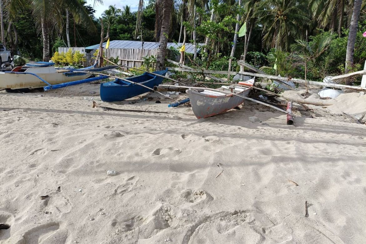 Land for Sale in Malinao East, Lila, Bohol – photo 3