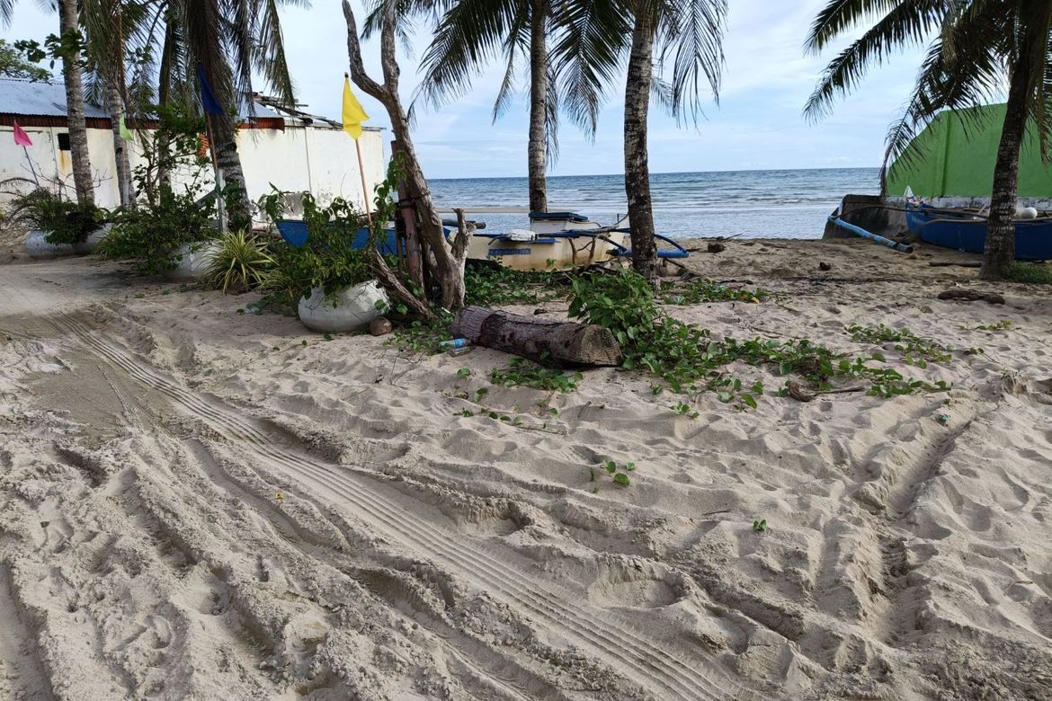 Land for Sale in Malinao East, Lila, Bohol – photo 7