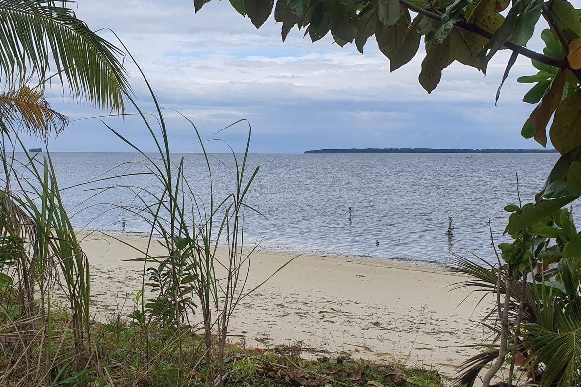 Land for Sale in Malinao, General Luna, Surigao del Norte