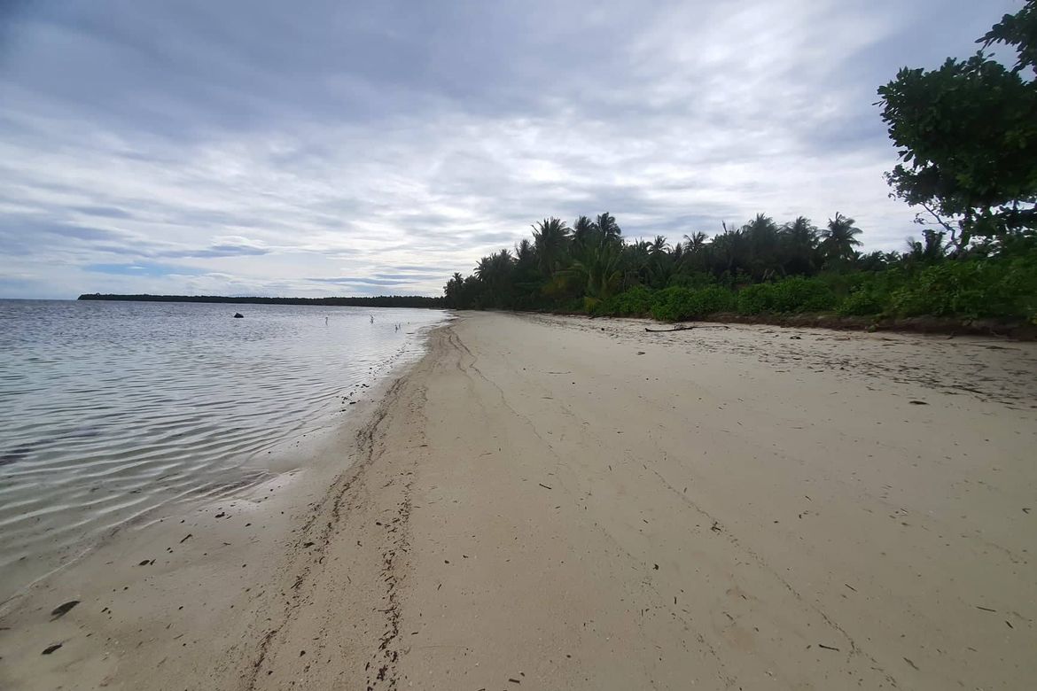 Land for Sale in Malinao, General Luna, Surigao del Norte – photo 8