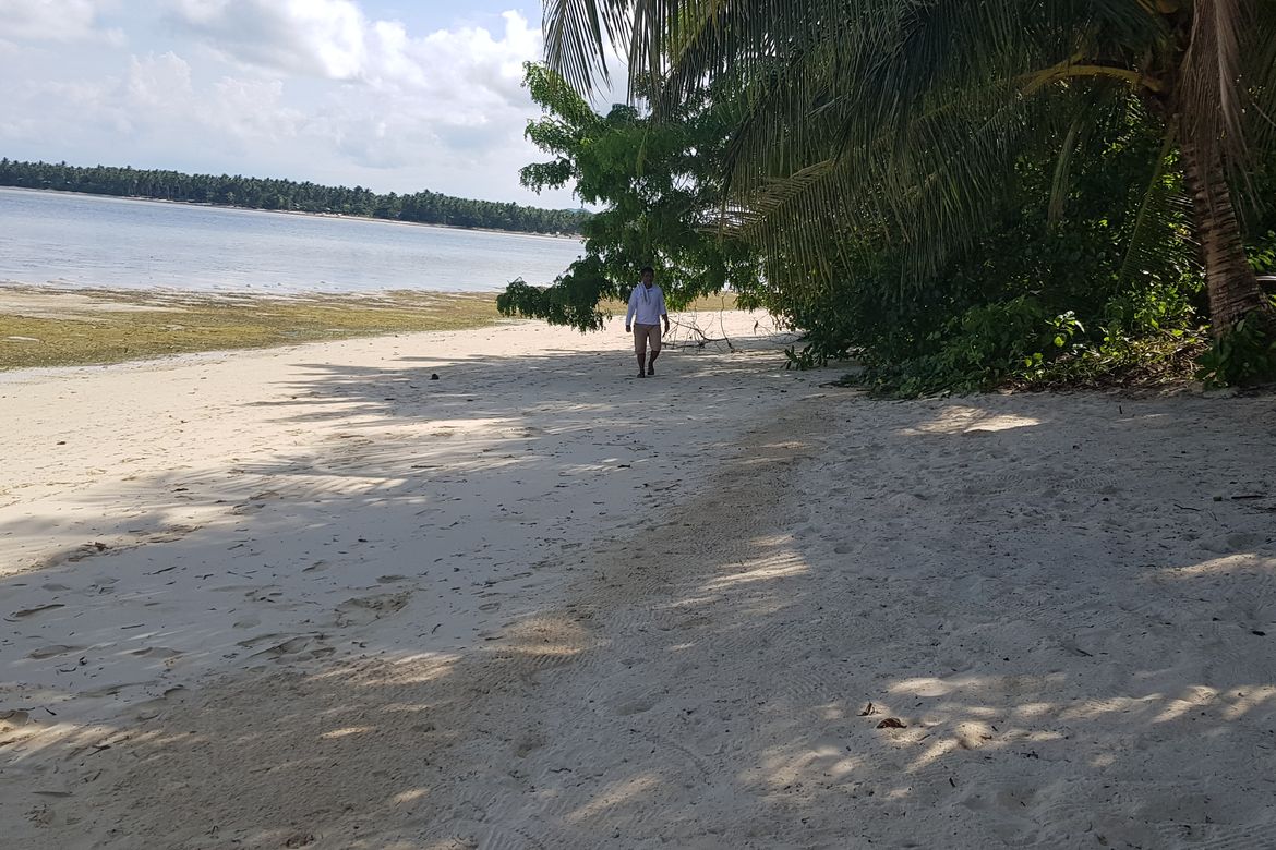Land for Sale in Malinao, General Luna, Surigao del Norte – photo 3