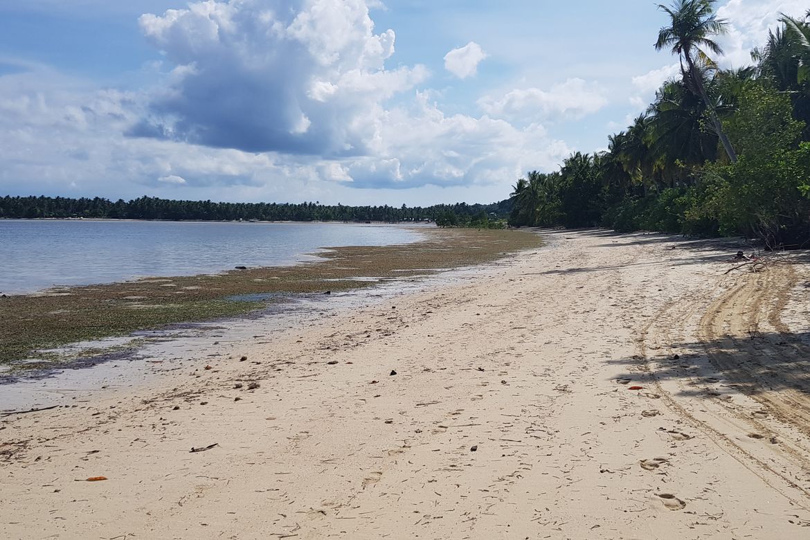 Land for Sale in Malinao, General Luna, Surigao del Norte – photo 5