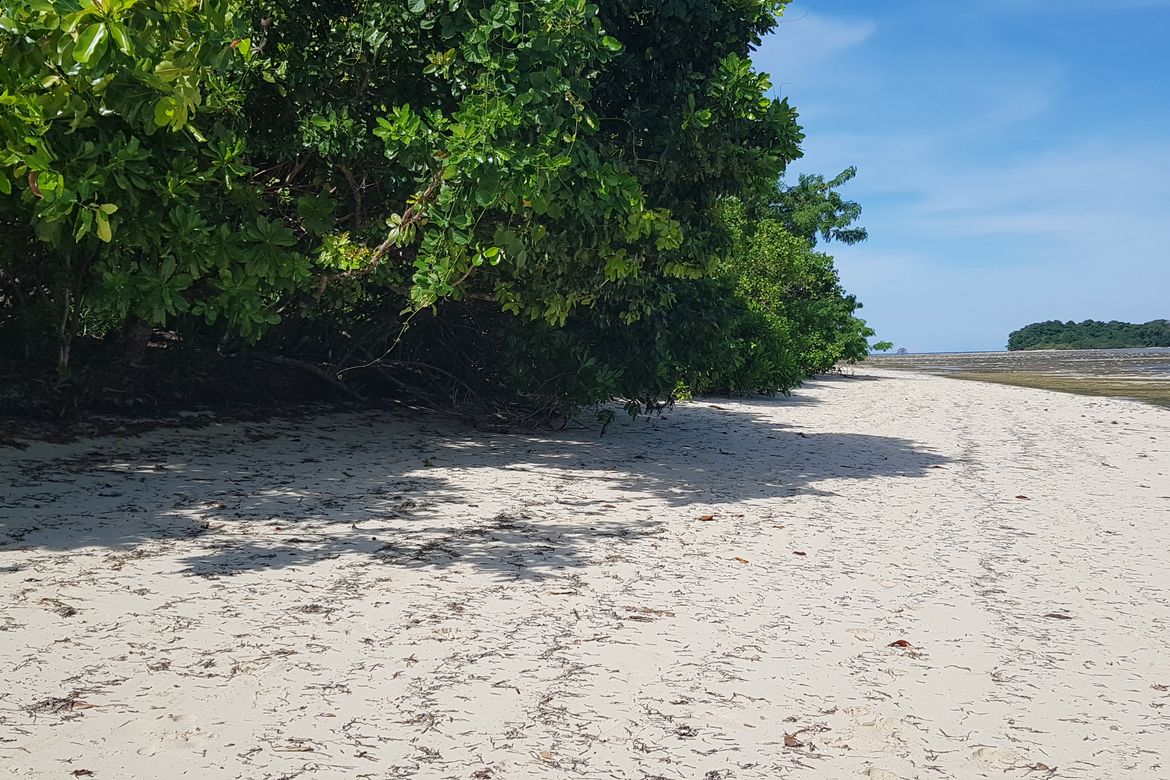 Land for Sale in Malinao, General Luna, Surigao del Norte – photo 8