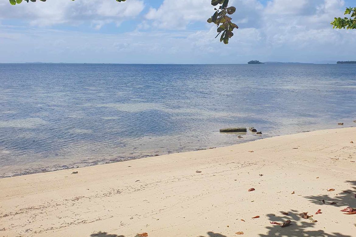 Land for Sale in Malinao, General Luna, Surigao del Norte – photo 3