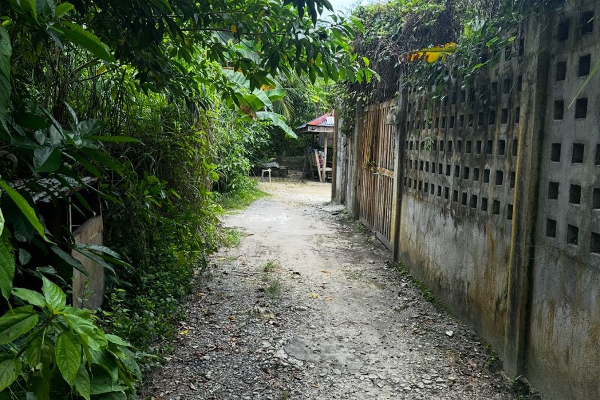 Land for Sale in Malinao, General Luna, Surigao del Norte – photo 7