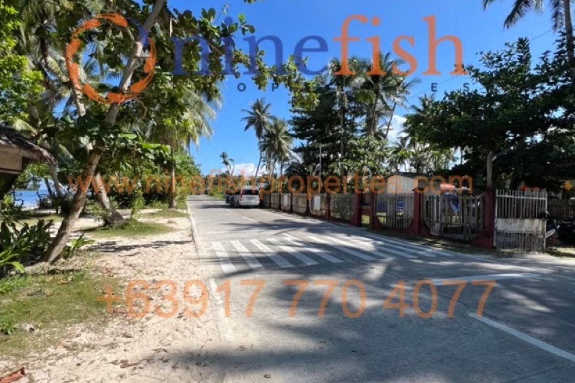 Land for Sale in Malinao, General Luna, Surigao del Norte – photo 4
