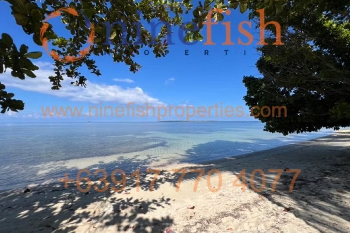 Land for Sale in Malinao, General Luna, Surigao del Norte – photo 7